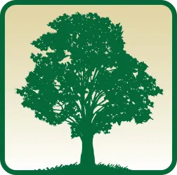 Living Life Church image