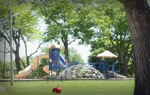 Firth park